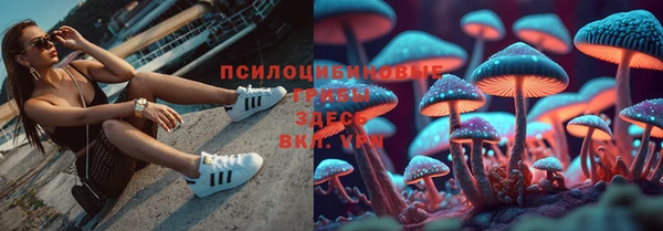 наркотики Абаза