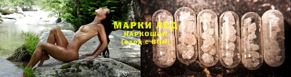 крисы Абдулино