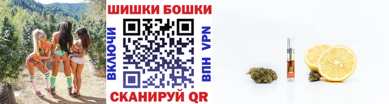 shop какой сайт Североморск Каннабис конопля